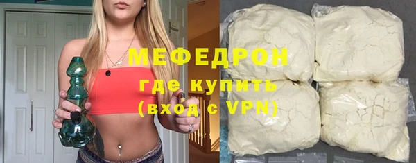 индика Дмитров