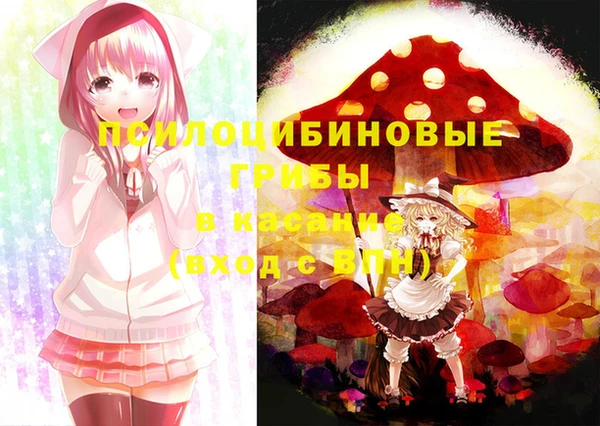 круглые Белокуриха