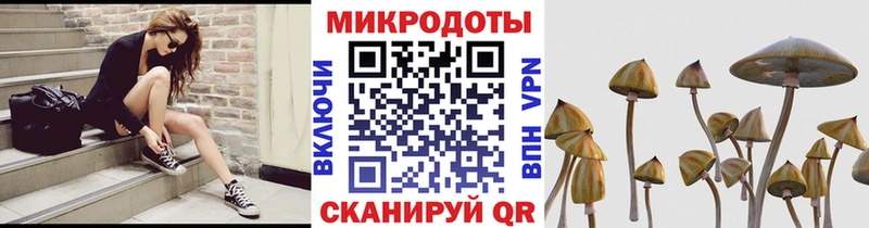 нарко площадка наркотические препараты  Гороховец  Галлюциногенные грибы ЛСД 